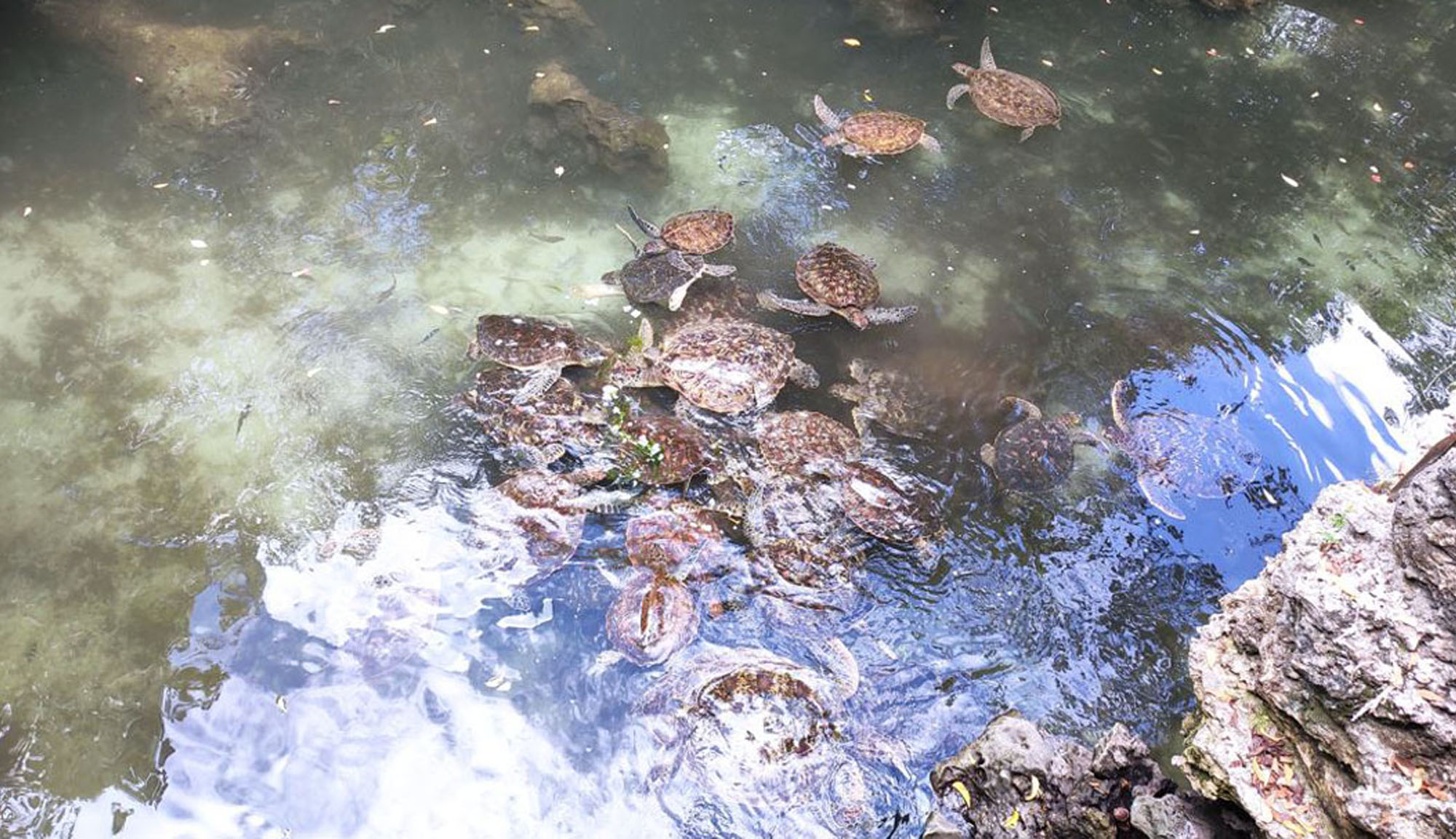 Aquarium