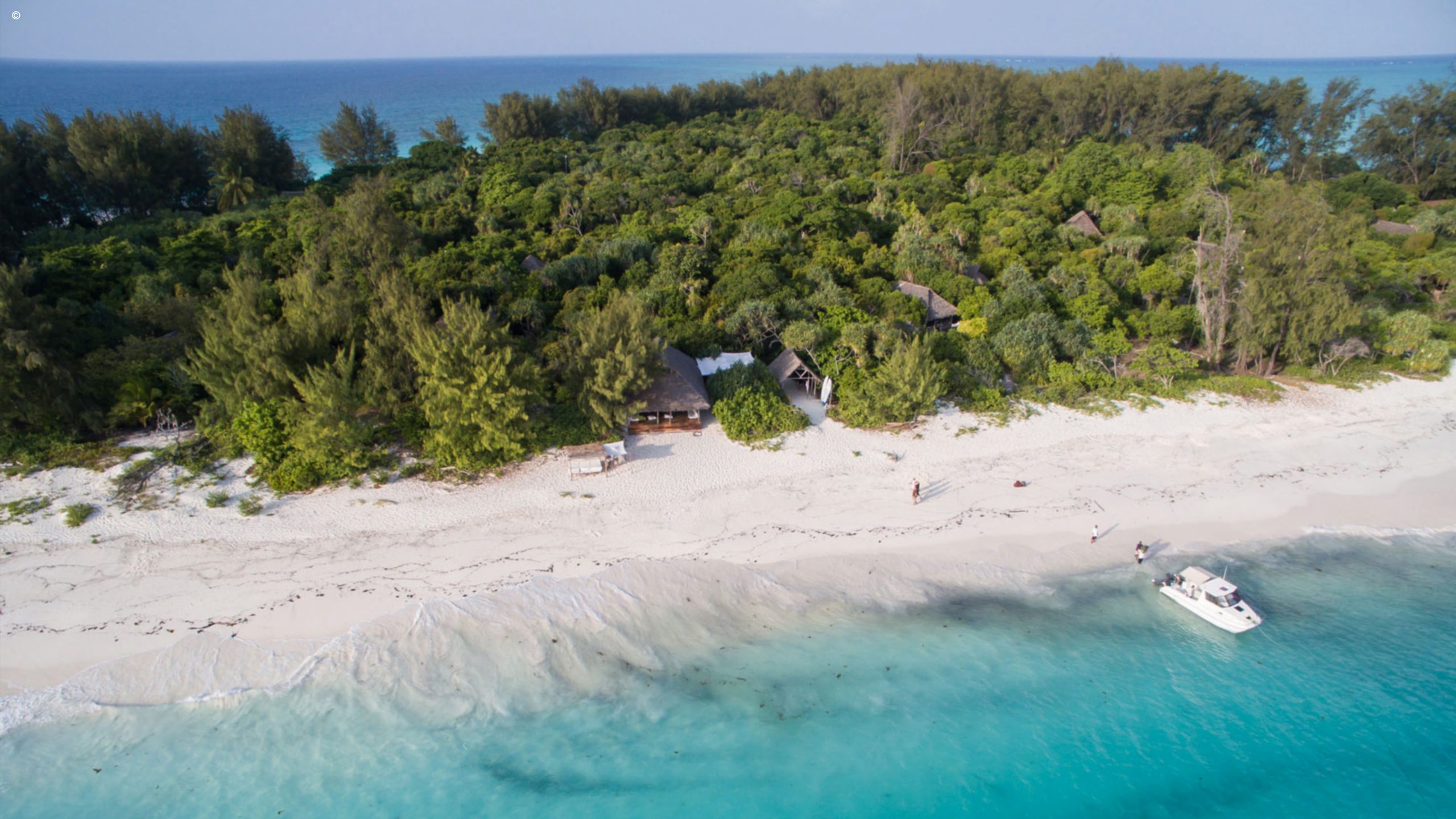 Mnemba Island